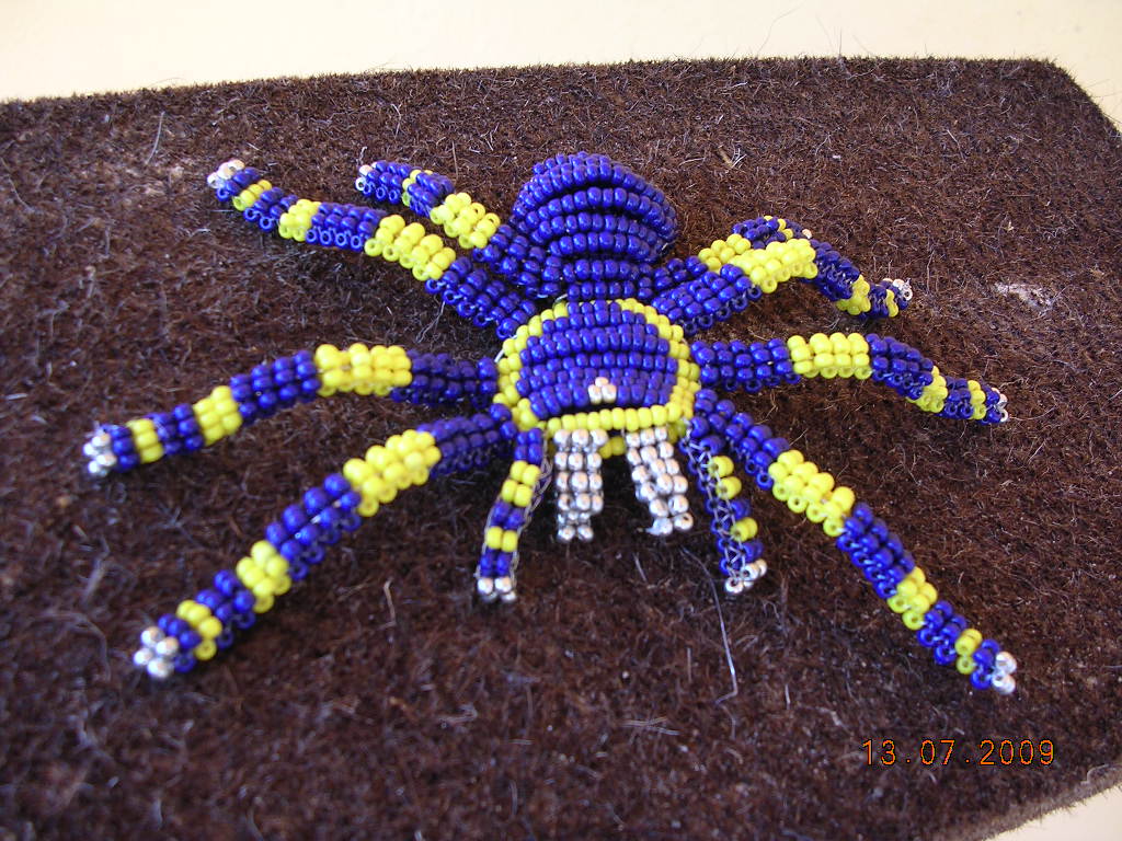 tarantule 2.JPG